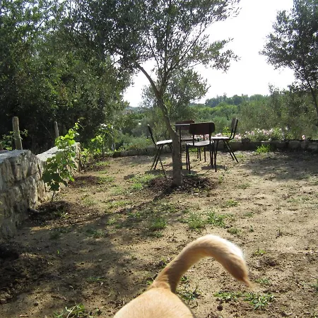 τhanassis House Appartamento