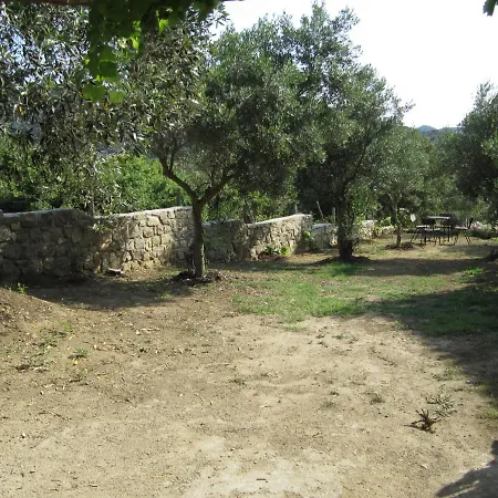 τhanassis House Appartamento *