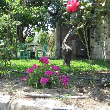 τhanassis House * Сикия