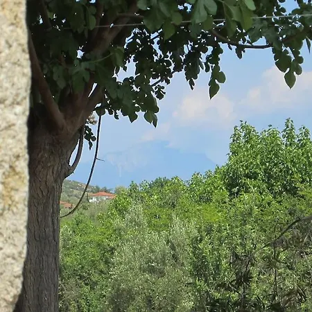 τhanassis House Апартаменты *