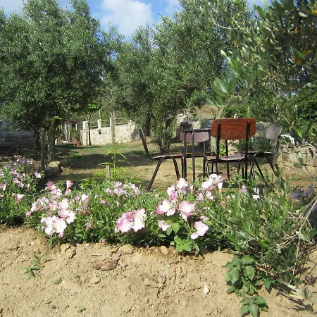 Apartamento τhanassis House