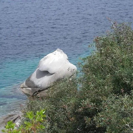 τhanassis House 아파트 *