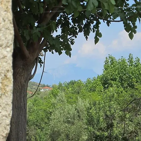 τhanassis House 아파트 *